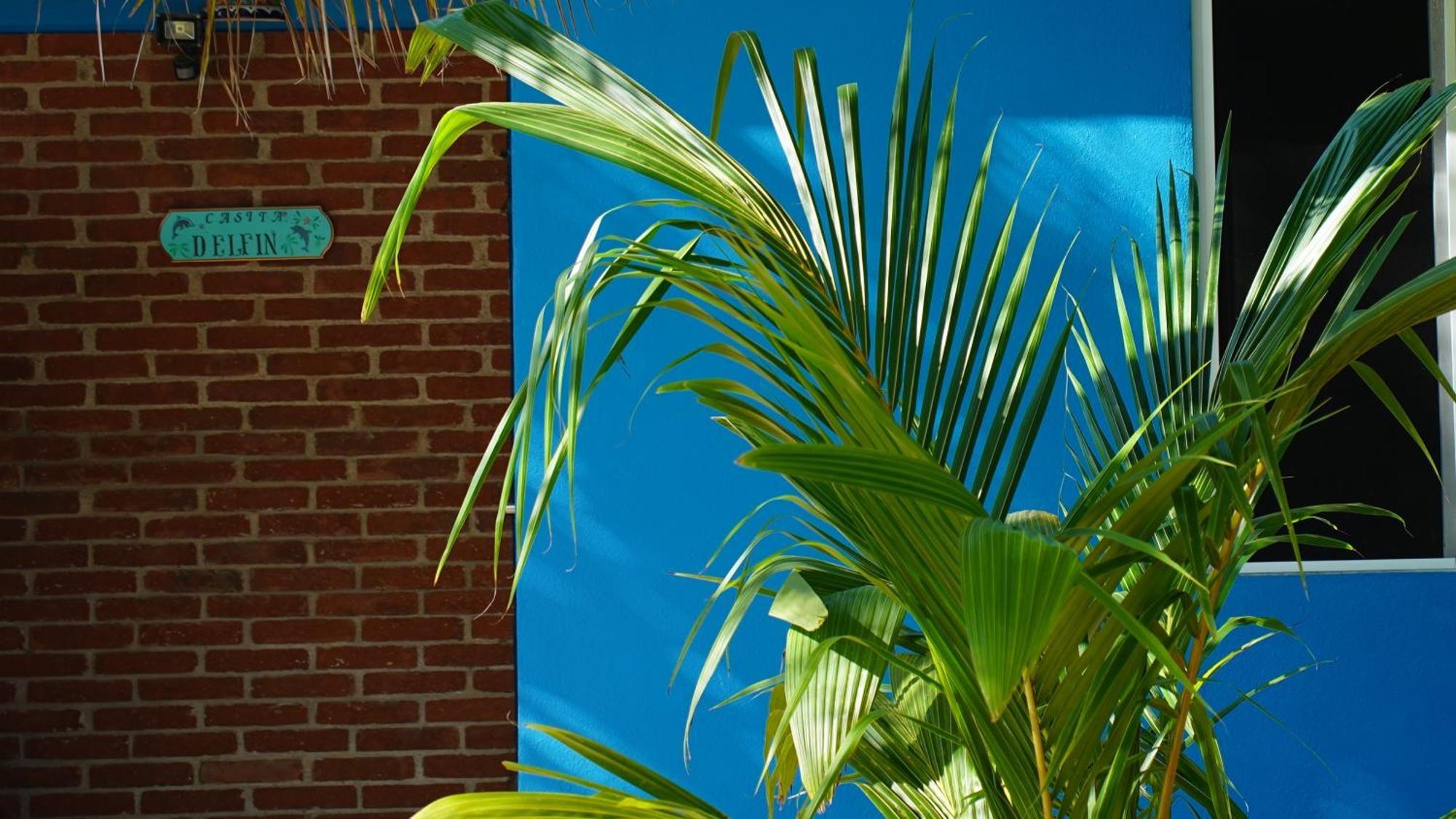 Ocean Oasis Hotel - Adult Only, Four Casitas Boutique Resort Agua Blanca Exteriör bild