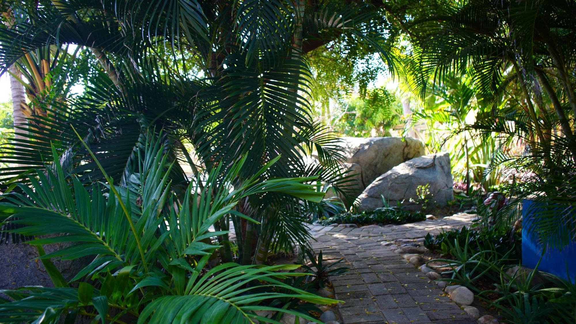 Ocean Oasis Hotel - Adult Only, Four Casitas Boutique Resort Agua Blanca Exteriör bild