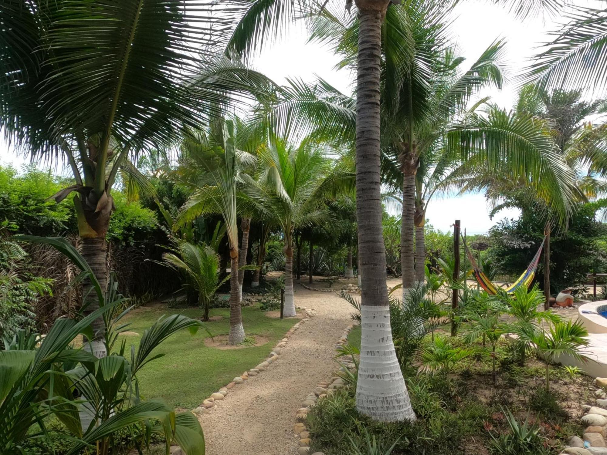 Ocean Oasis Hotel - Adult Only, Four Casitas Boutique Resort Agua Blanca Exteriör bild